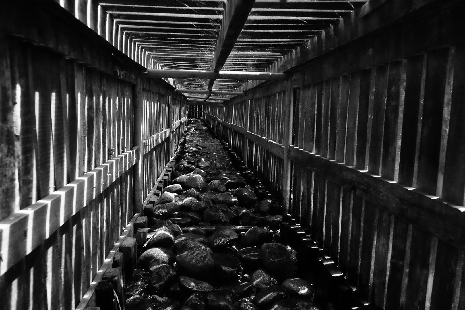 La memoria del túnel