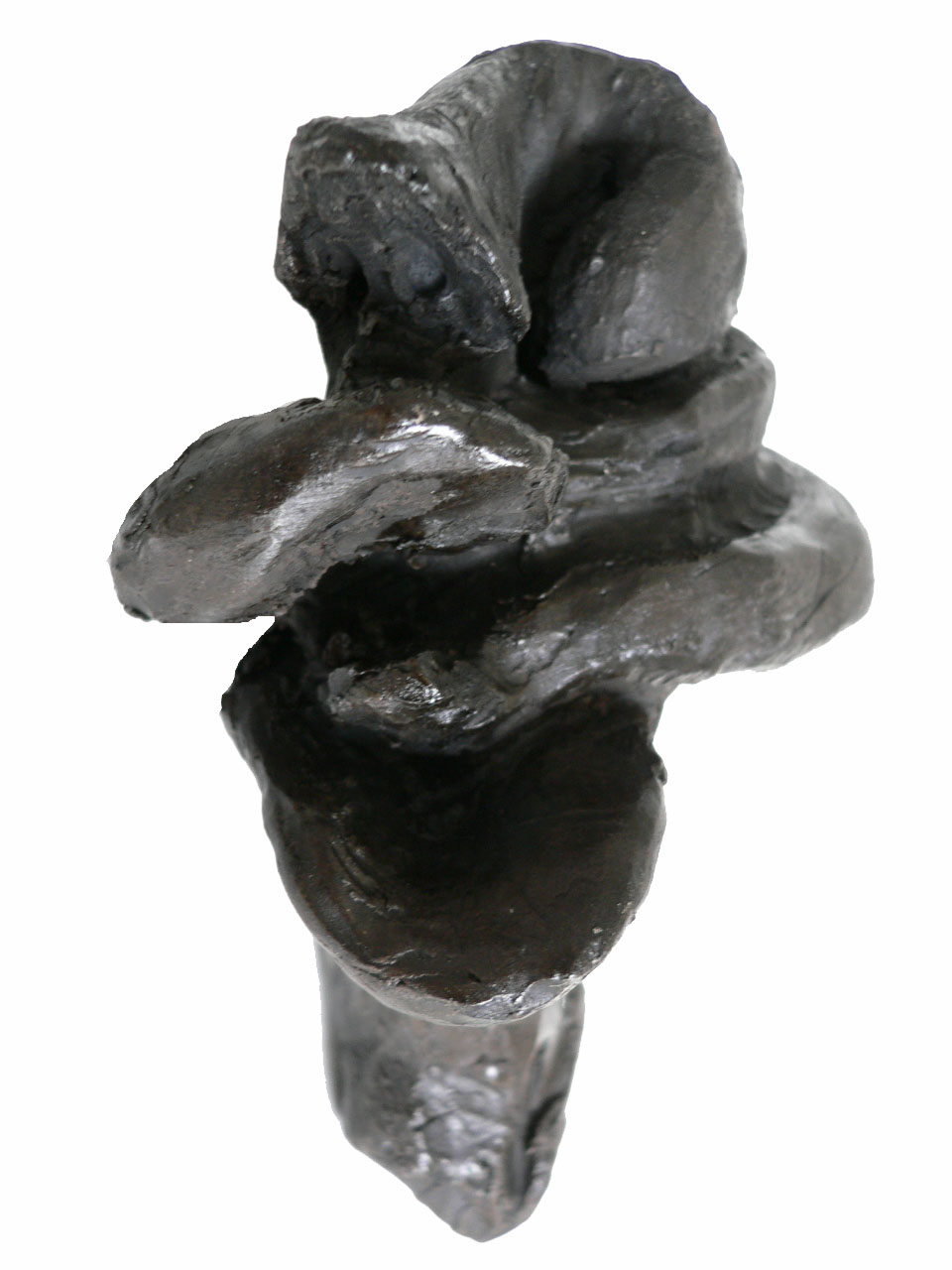 Matriz orgánica - Escultura / Sculpture. Medium: Patinated terracotta, Year: 2005. — Estela Currao.