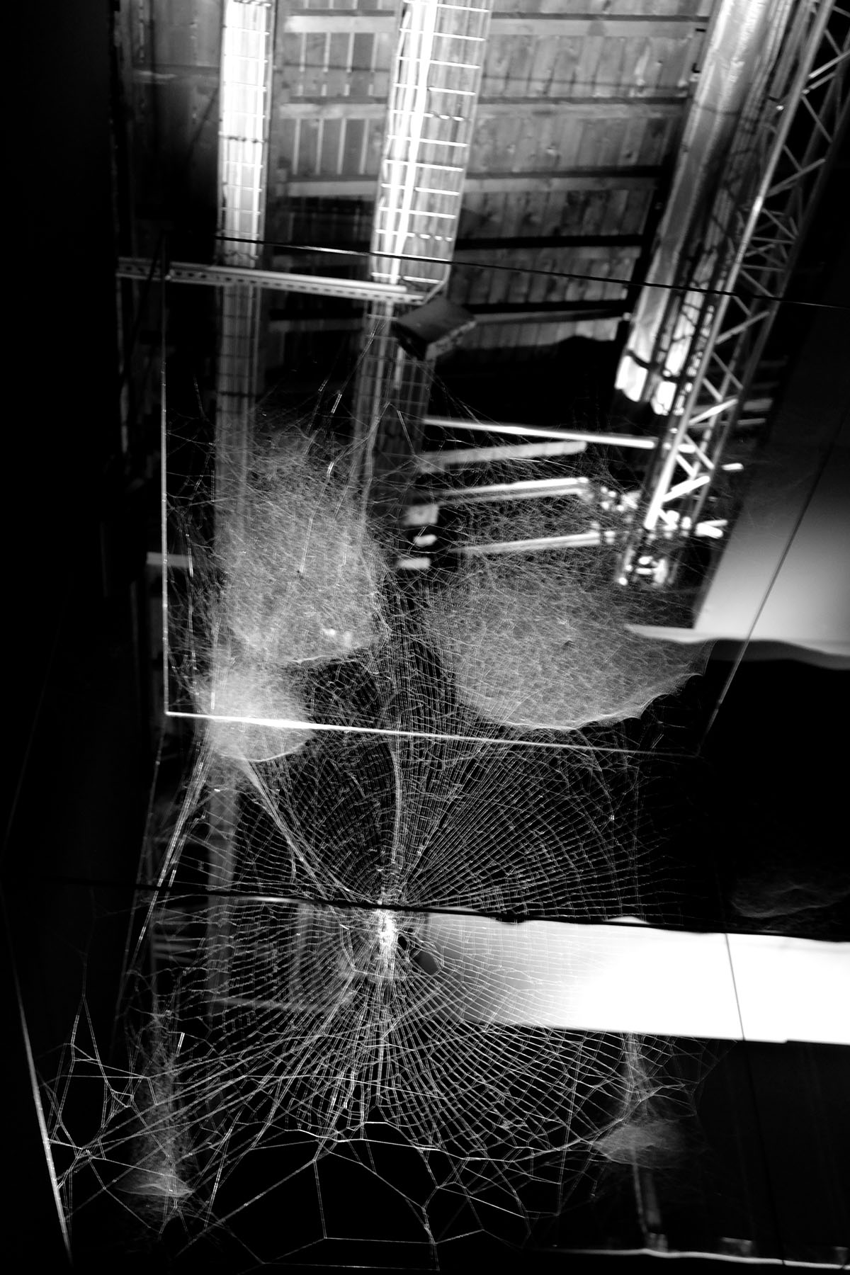 Hommage à Tomás Saraceno. ON AIR II