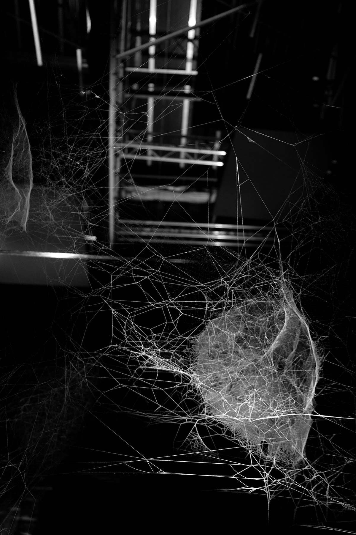 Hommage à Tomás Saraceno. ON AIR III