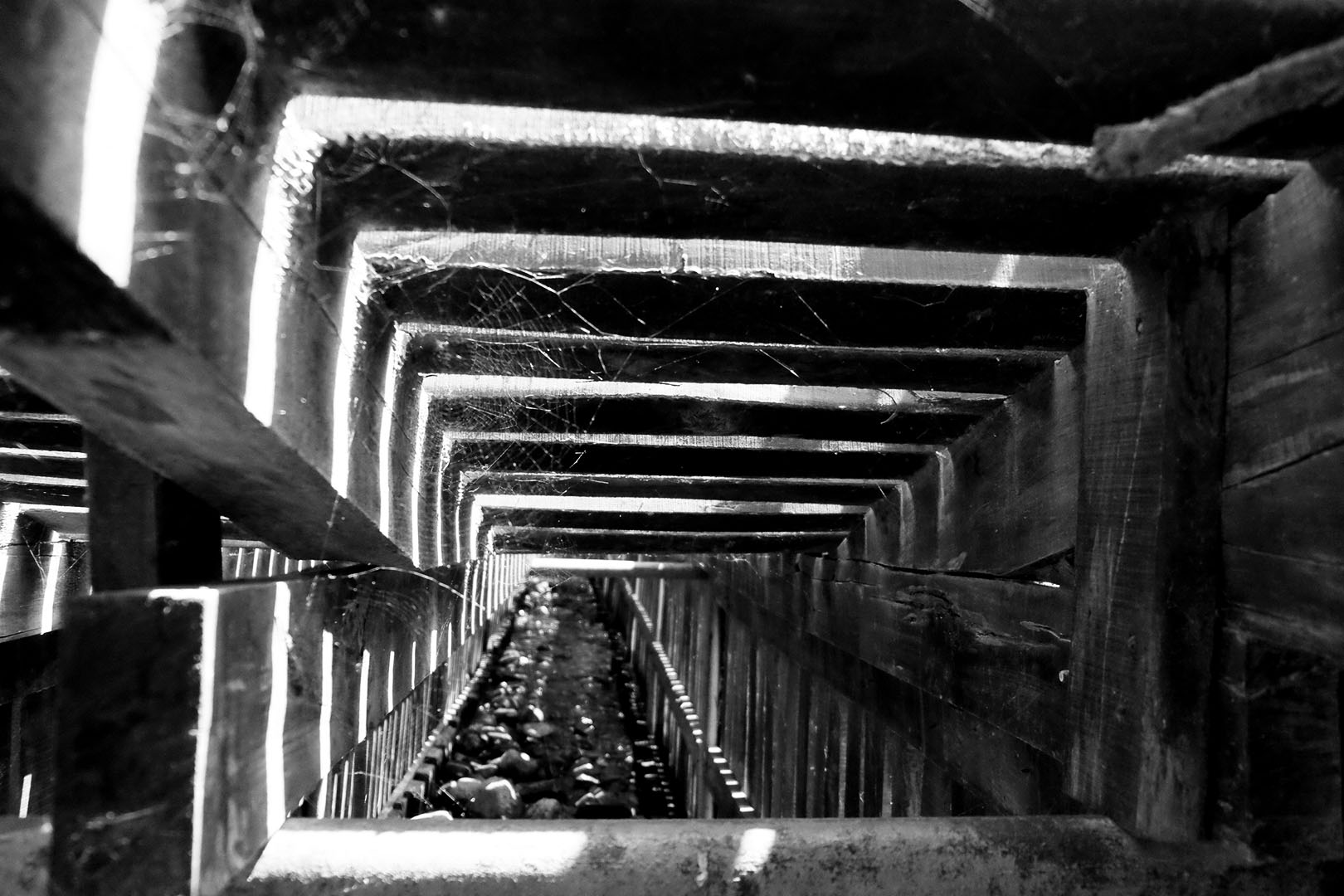 La memoria del túnel II