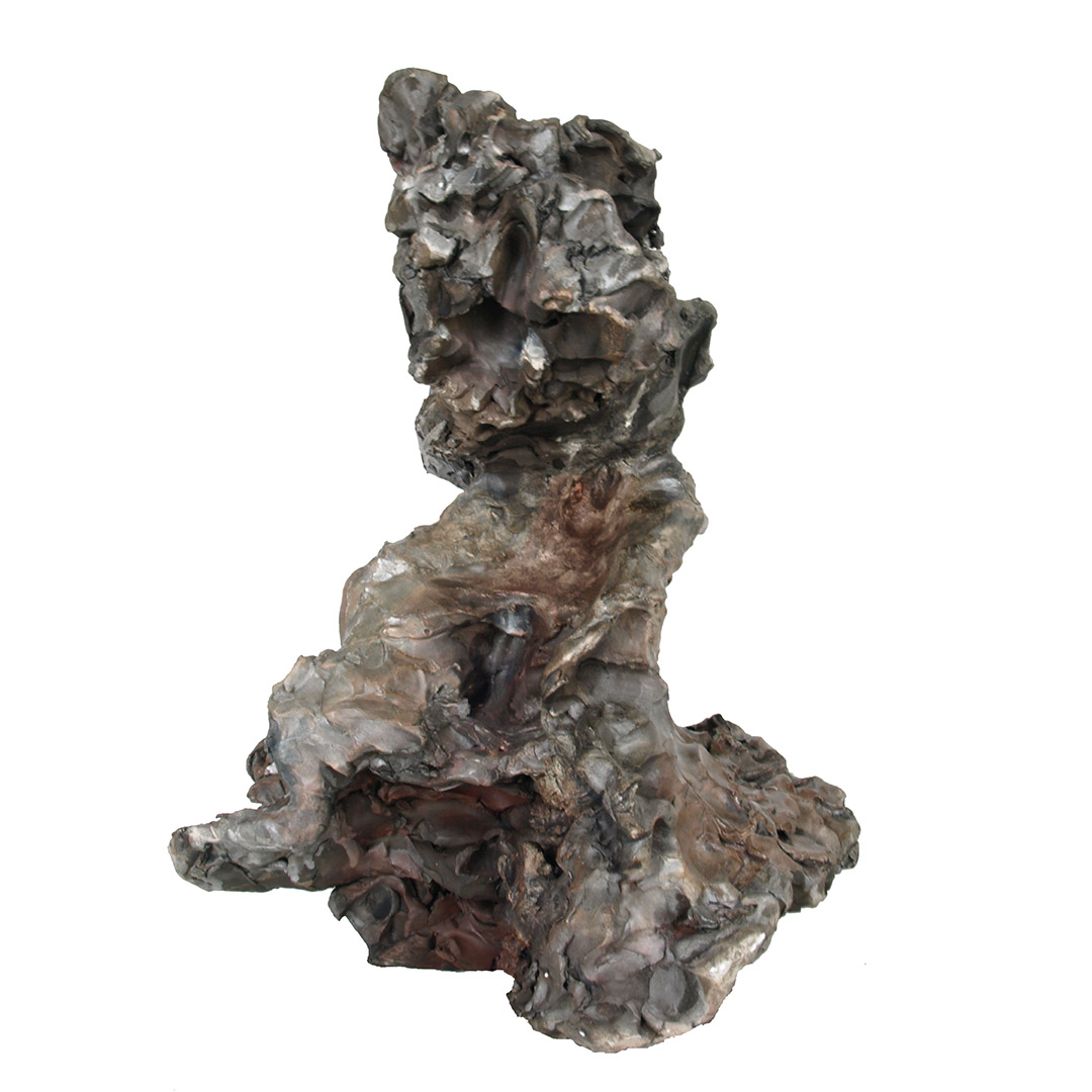 Le visage de la révolte (The face of the rebellion) — view 3