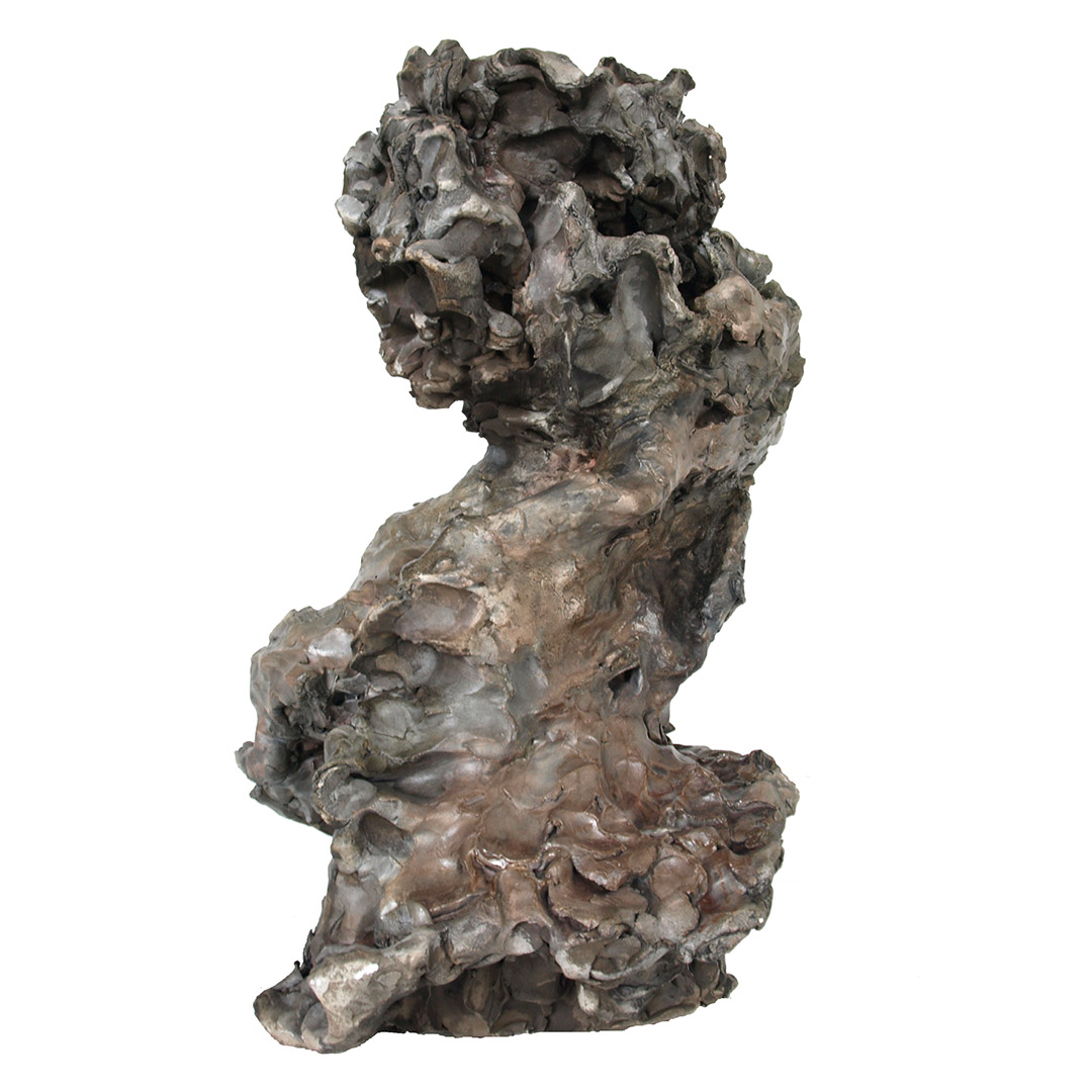 Le visage de la révolte (The face of the rebellion) — view 2