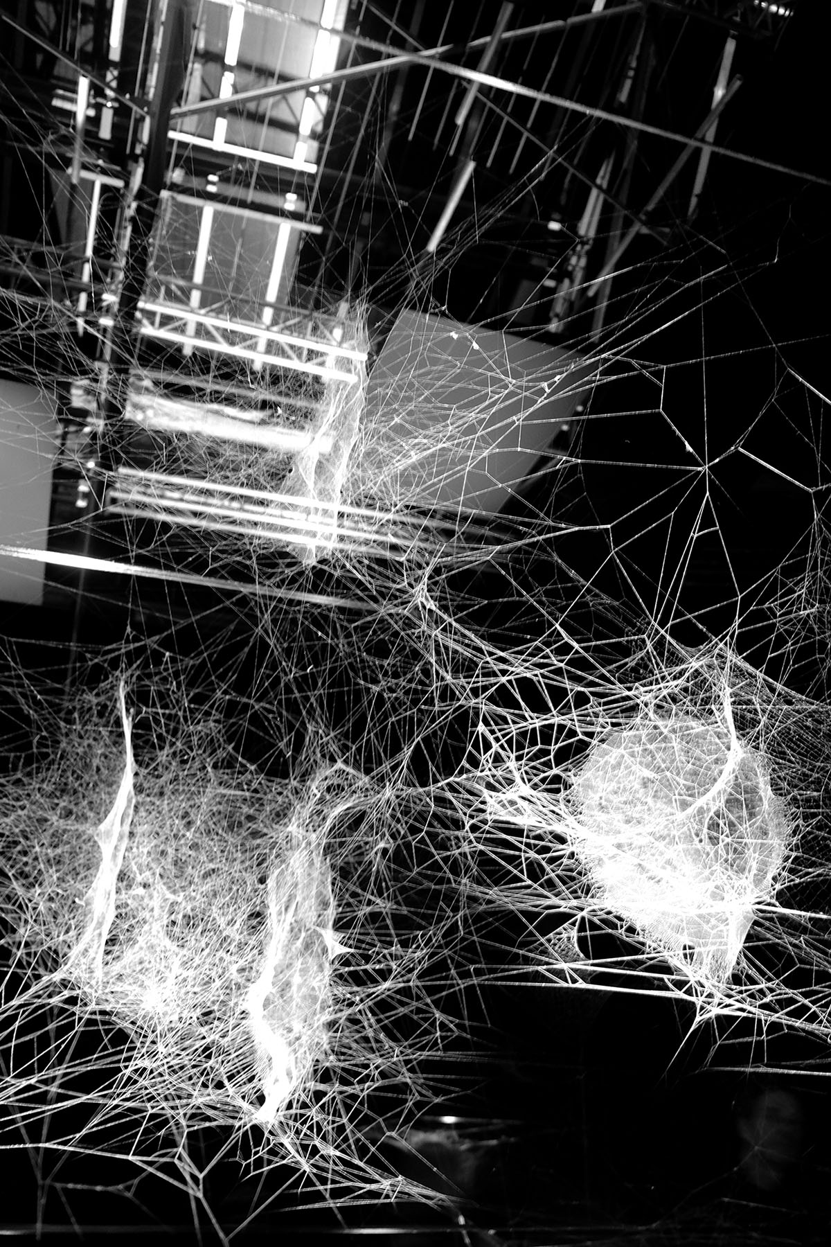 Hommage à Tomás Saraceno. ON AIR